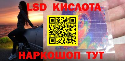 PSILOCYBIN Заводоуковск