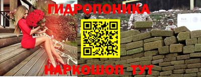 PSILOCYBIN Заводоуковск