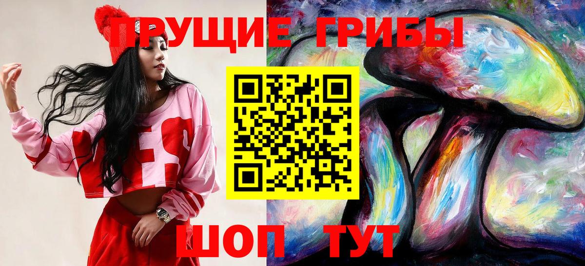 Псилоцибиновые грибы MAGIC MUSHROOMS  Вход с VPN  Псилоцибиновые грибы Psilocybe  Балашов 