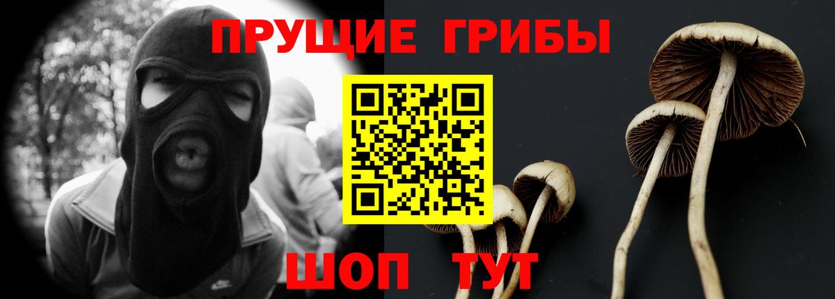 Галлюциногенные грибы Cubensis Балашов
